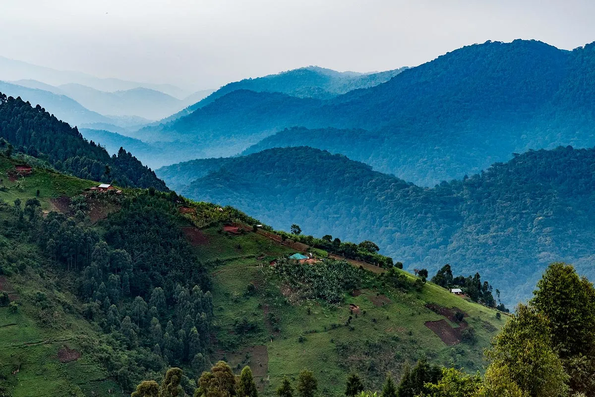 Bwindi
