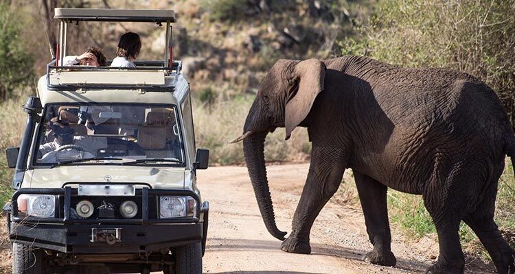 Queen Elizabeth Wildlife