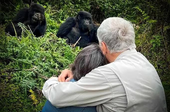 Gorilla Rwanda
