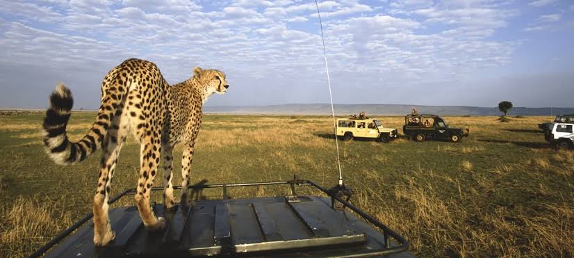 Maasai Mara