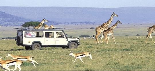 Migration in Mara