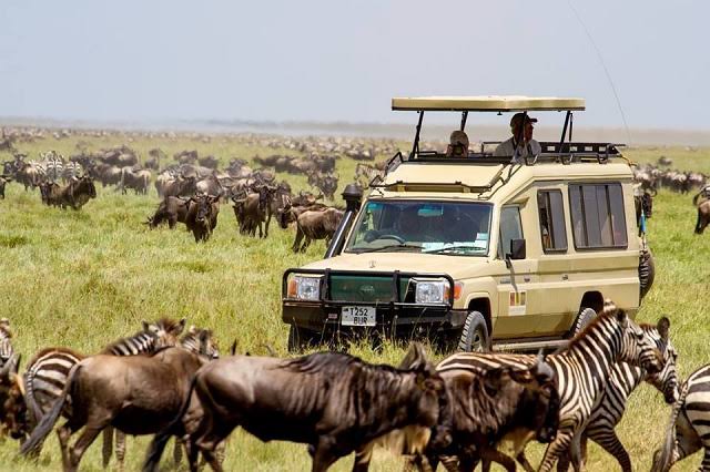 Maasai Mara plains