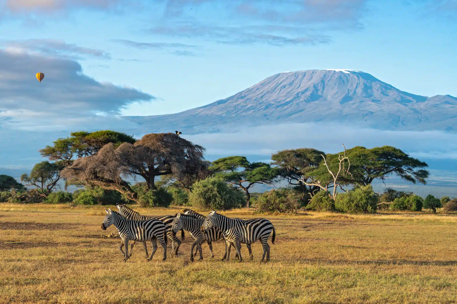 Maasai Mara