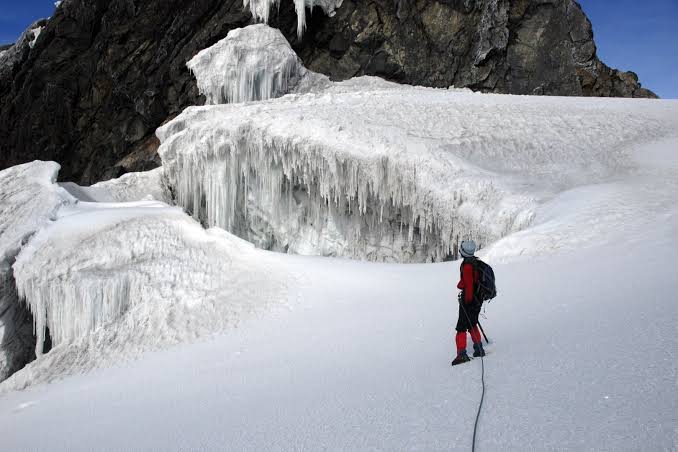 Rwenzori trekking