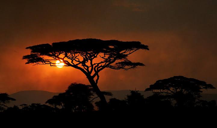 Serengeti sunset